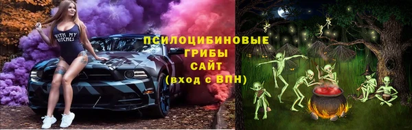 крисы Армянск