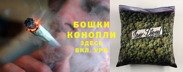 крисы Армянск