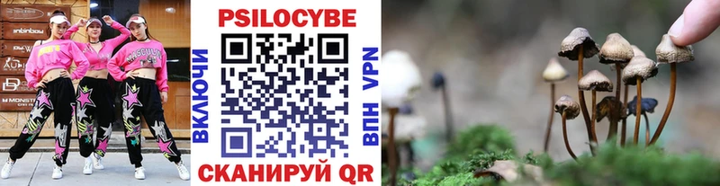 Галлюциногенные грибы Psilocybine cubensis  где найти наркотики  Асино 