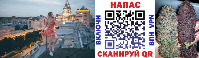 Бошки Шишки ГИДРОПОН  Асино 